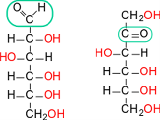 アルドース（左）とケトース（右）の構造
左のアルドース (aldose) はアルデヒド基 (aldehyde group) と複数の水酸基 (hydroxyl group) を持っています。
右のケトース (ketose) はケト基 (keto group) と複数の水酸基 (hydroxyl group) を持っています。