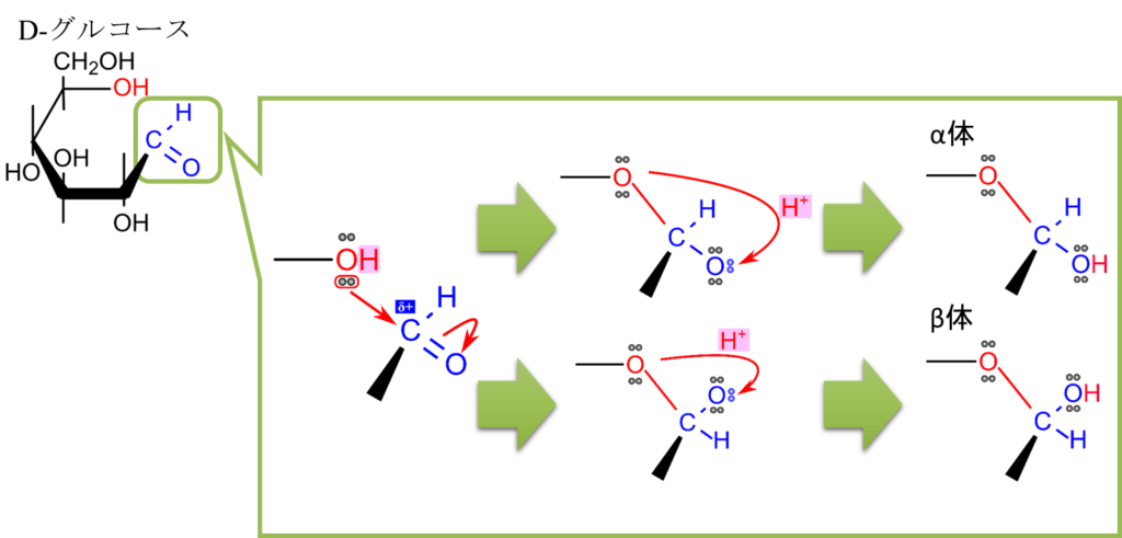 D-グルコースの分子内へミアセタール形成メカニズム