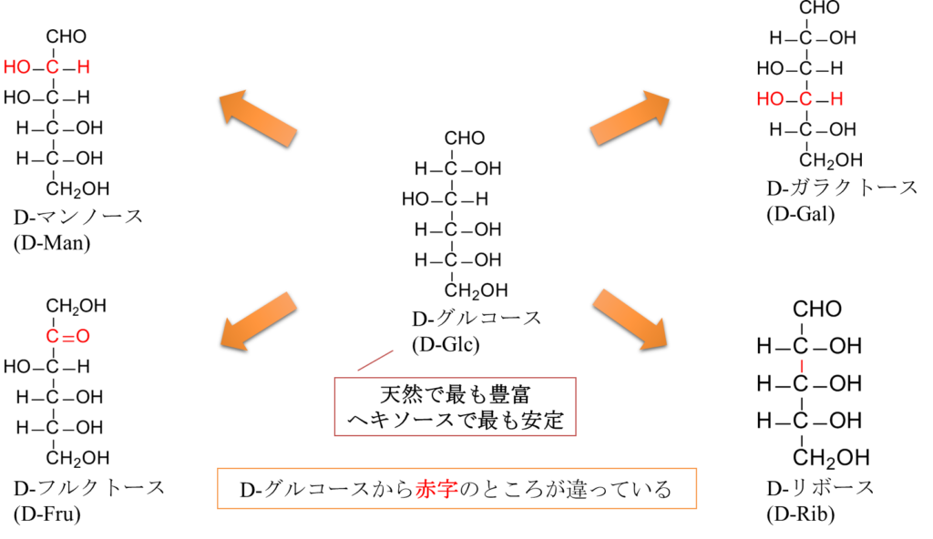 代表的なヘキソース