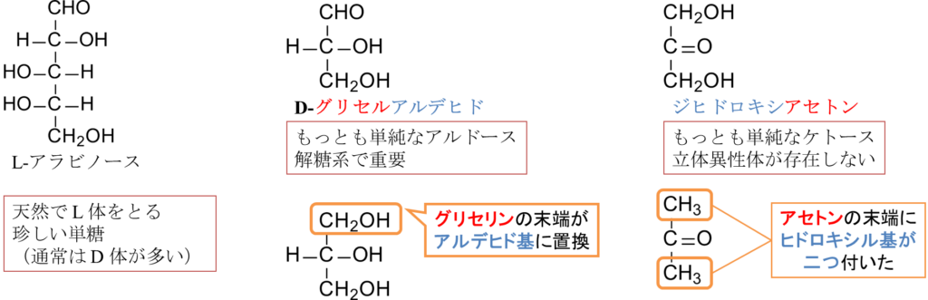 そのほか重要な単糖
アラビノース
グリセルアルデヒド
ジヒドロキシアセトン