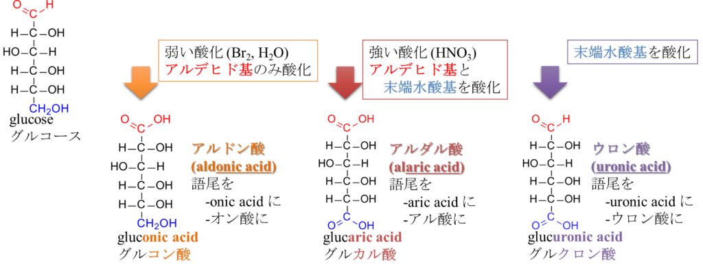 アルドン酸、アルダル酸、ウロン酸生成