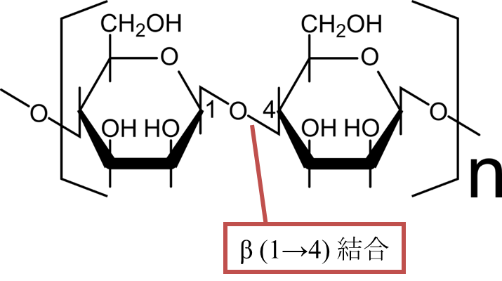 マンナンの構造。マンナンはマンノースがβ(14)結合している