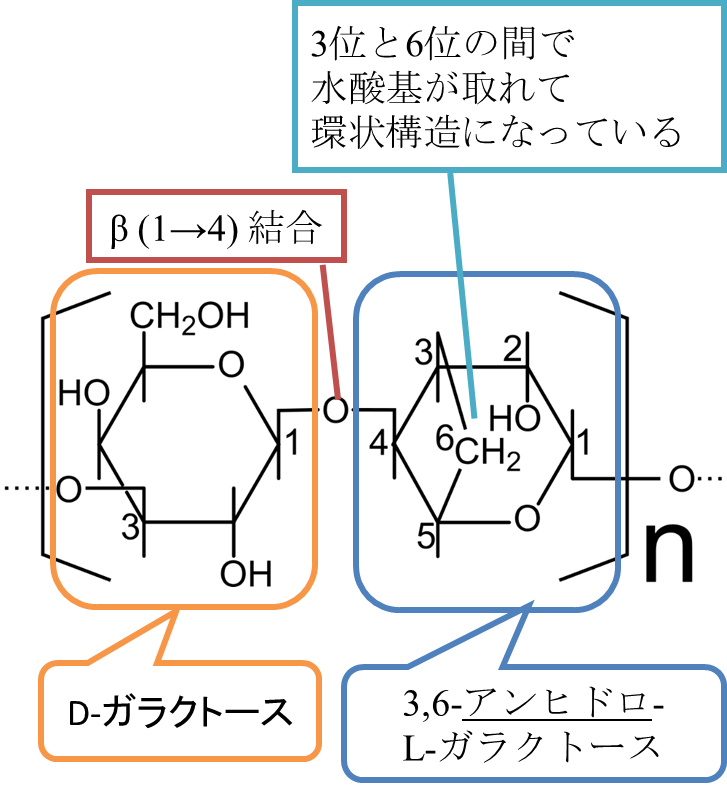 アガロースの構造。D-ガラクトースと3,6-アンヒドロ-L-ガラクトースがβ14結合してできています