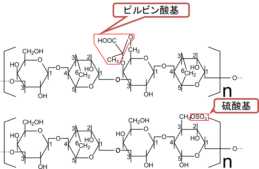 アガロペクチンはベースの構造はアガロースだが、ところどころに硫酸エステルやピルビン酸による修飾を受けている