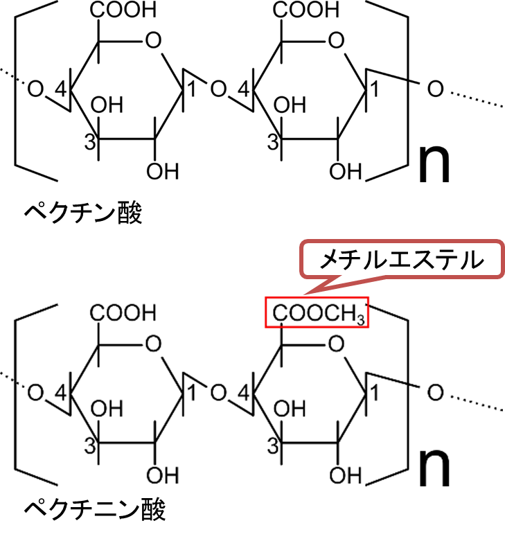 ペクチン酸とペクチニン酸の構造。ペクチン酸は D-ガラクツロン酸がα14結合してできている。ペクチニン酸はペクチン酸がメチルエステル化されている