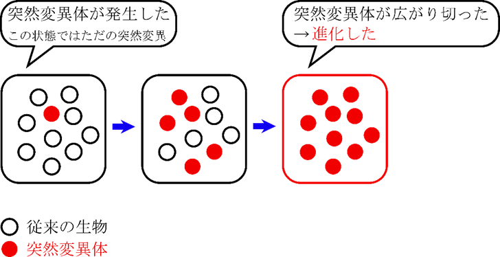 変異が発生したのち、集団内に広がっていき、種全体がその変異を持つようになった場合を進化という