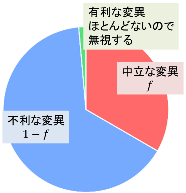 有利な変異はほとんどないので無視する。すると中立な変異の割合を f とすると、不利な変異の割合は 1-f とみなせます。