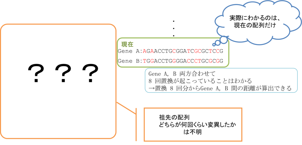 実際の配列比較では過去の過程は全く分からない