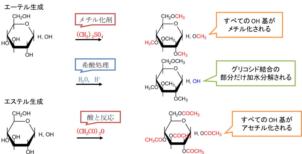糖のエーテル化、エステル化