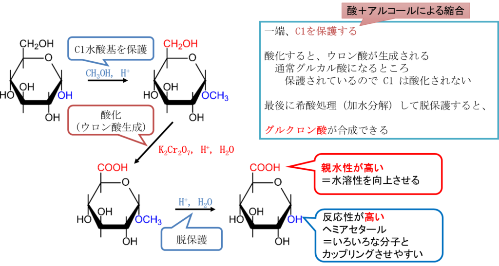 グルクロン酸の生成
ウロン酸の生成