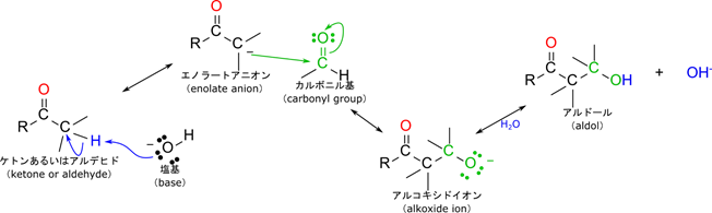 カルボニル基に隣接する炭素から塩基がプロトンを引き抜きます。こうして産生されたエノラートアニオンは求核性の供与体として働き、カルボニル基の炭素を攻撃、結合を形成します。するとアルコキシドイオンが形成されますが、このアルコキシドイオンに水が付加するとアルドールが生成されます。