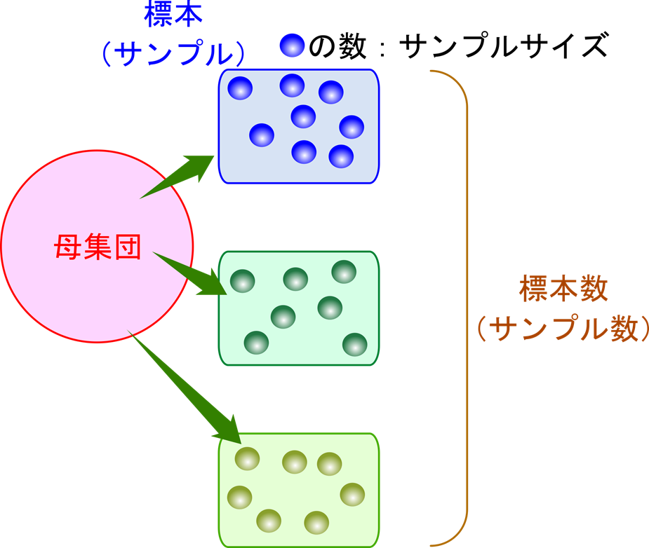 ある実験を無限回数繰り返した時のデータの集団を母集団という。母集団の中からデータを抜き出したデータの集まりのことを標本（サンプル）という。標本を形成するデータの数のことをサンプルサイズという。