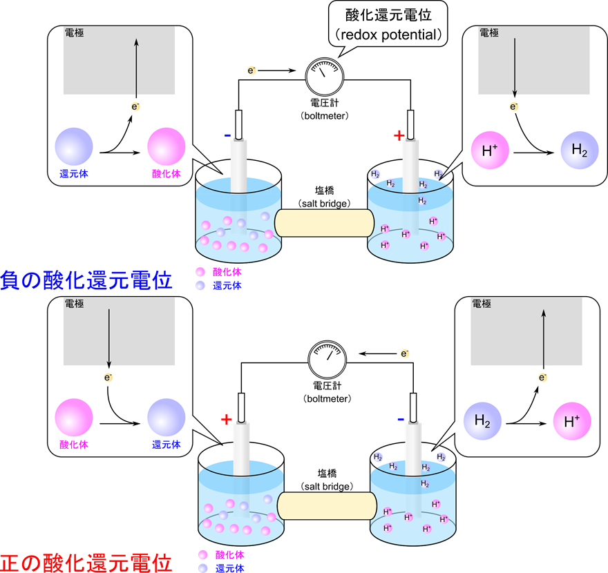 対象物質の還元体が電子を放出する場合は酸化還元電位はマイナスになる。一方で対象物質の酸化体が電子を受け取る場合は酸化還元電位はプラスになる