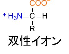 溶液中のアミノ酸のカルボキシル基はプロトンを失い負電荷をもつ置換基になる。一方でアミノ基はプロトンを獲得して正電荷を持つ置換基になる。この結果、アミノ酸は双性イオンとして存在することになる