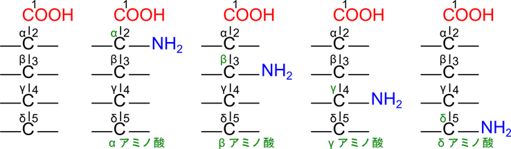 カルボキシル基を１番として順番に炭素に番号を割り付ける。別な命名法ではカルボキシル基の隣の炭素をα位、その隣から順番にβ、γ、δ位というように炭素に名前を付ける。アミノ基が付いている炭素によってαアミノ酸、βアミノ酸、γアミノ酸、δアミノ酸と命名する