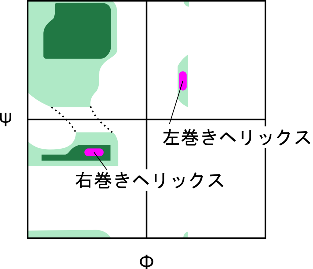 ラマチャンドランプロット上でαヘリックス構造のエネルギー状態を確認すると右巻きがより安定であり、左巻きはより不安定であることがわかる。ただし、いずれも存在しうる構造であることも確認できる