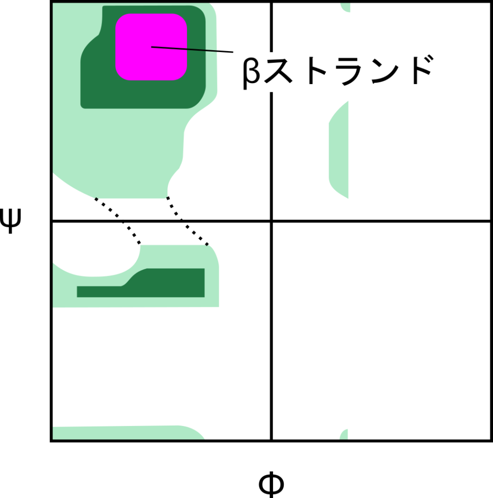 ラマチャンドランプロット上でβシート構造を確認すると安定した構造であることが理解できる