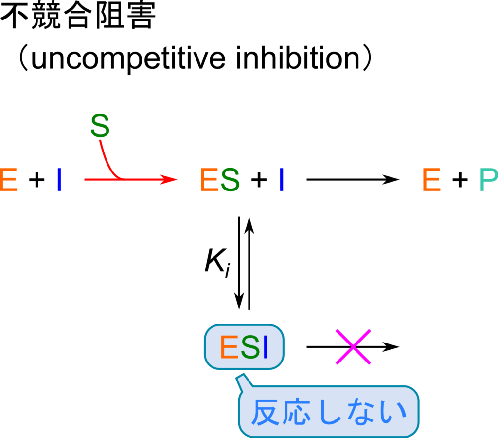 不競合阻害剤はES複合体に結合して阻害する阻害剤である。阻害剤は酵素単体とは結合できない