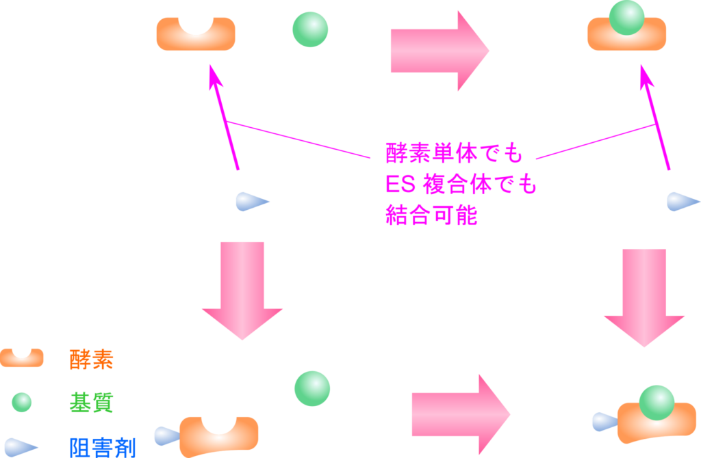 非競合阻害剤はES複合体、酵素単体の両方に結合して阻害する阻害剤である。阻害剤は酵素単体とも結合できる点で不競合阻害剤とは異なる。結合する部位は活性部位と異なる。