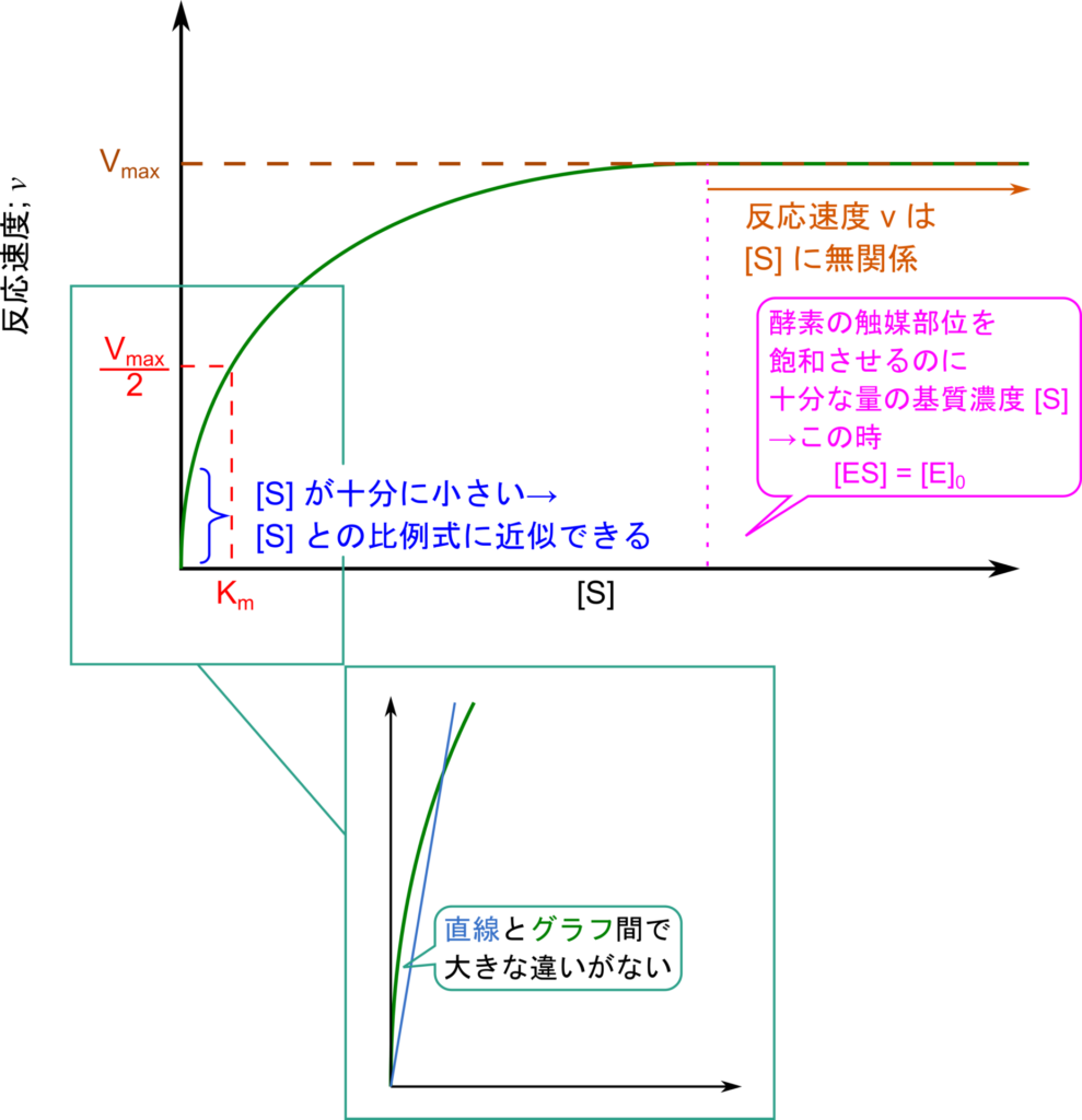 [S] が十分に小さいと、比例で近似でき、[S]=Km の時V0＝Vmax/2、[S] が十分に大きいとき、V0は一定となり Vmax にほぼ等しくなる。