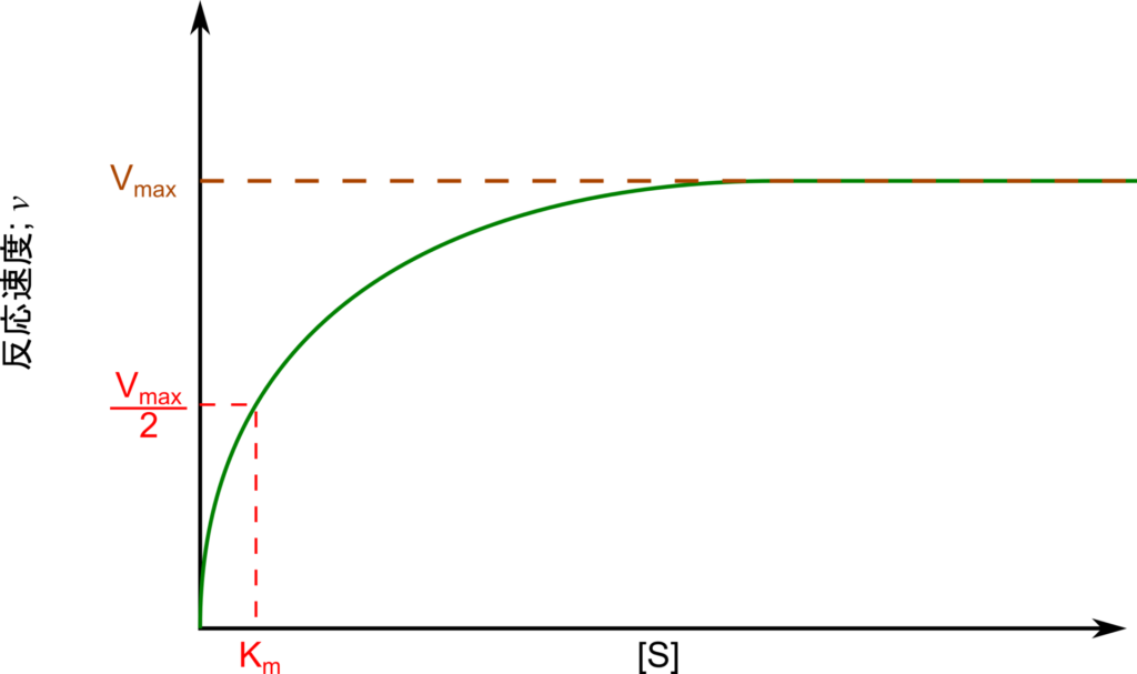 基質と反応速度V0をプロットすると徐々に緩やかになりながら一定値に漸近するようなグラフとなる。基質濃度が十分に大きいとV0はほぼ最大となり、この時の値をVmaxという。