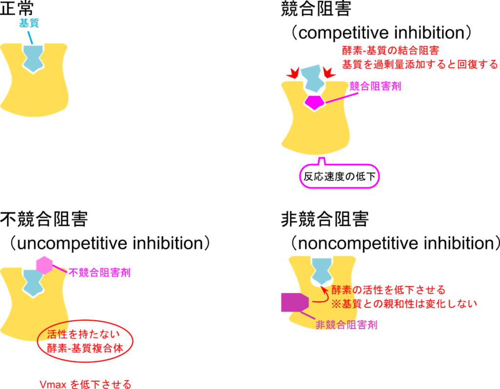 正常な状態では酵素と基質が結合し反応が進む。競合阻害では阻害剤が酵素の活性部位と結合して基質を追い出して阻害する。不競合阻害剤では基質-酵素複合体の基質と酵素に阻害剤が結合して酵素の機能を阻害する。非競合阻害剤では活性部位と異なる部分に非競合阻害剤が結合することにより酵素活性を低下させる