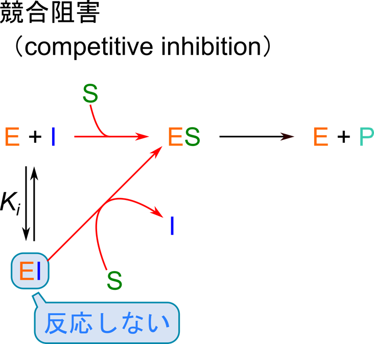 酵素と阻害剤が結合して EI複合体を形成することで酵素反応を阻害する
