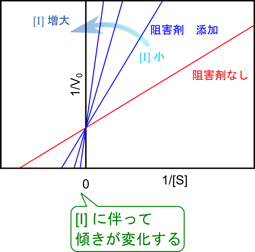 Lineweaver Burk プロットではY切片は一定であるが、[I]が増大するにしたがって傾きが増大する