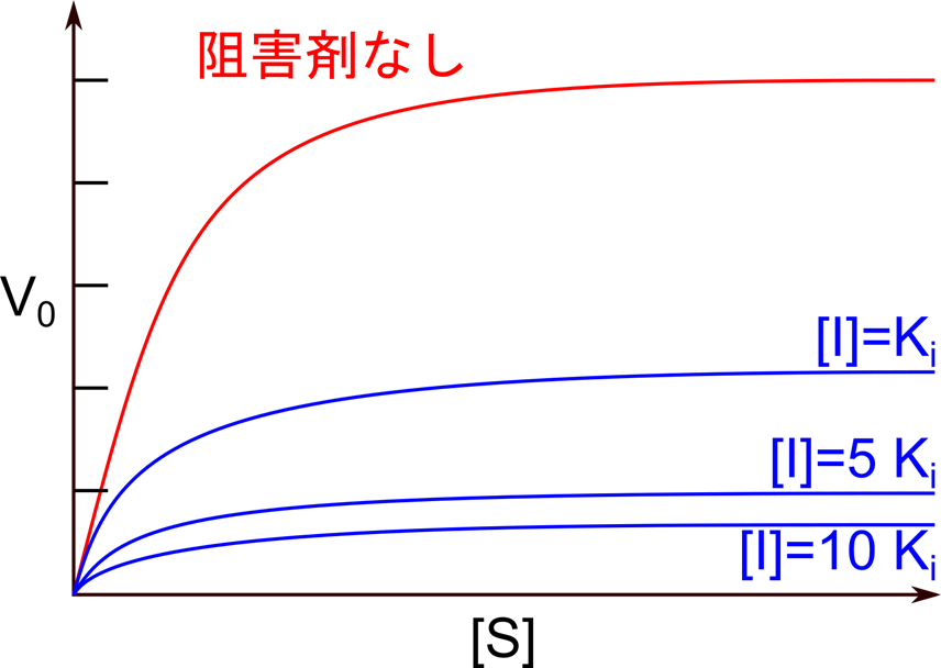 非競合阻害ではVmaxが低下する。ただし、Kmは変わらない。