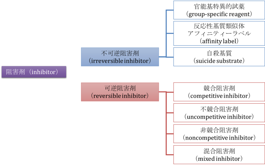 阻害剤は可逆阻害剤と不可逆阻害剤に大別でき、可逆阻害剤は競合阻害剤、不競合阻害剤、非競合阻害剤、混合阻害剤に分類される。不可逆阻害剤には官能基特異的試薬、反応性基質類似体（アフィニティーラベル）、自殺基質がある