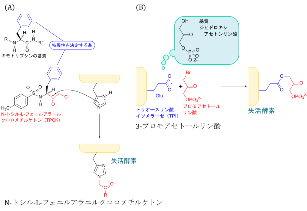 TPCKはキモトリプシンと反応するとヒスチジンを修飾して酵素を失活させる。TPCKの一部はキモトリプシンの基質と類似している。また、３－ブロモアセトールリン酸はトリオースリン酸イソメラーゼの基質と類似しており、反応すると結合し、酵素を失活させる